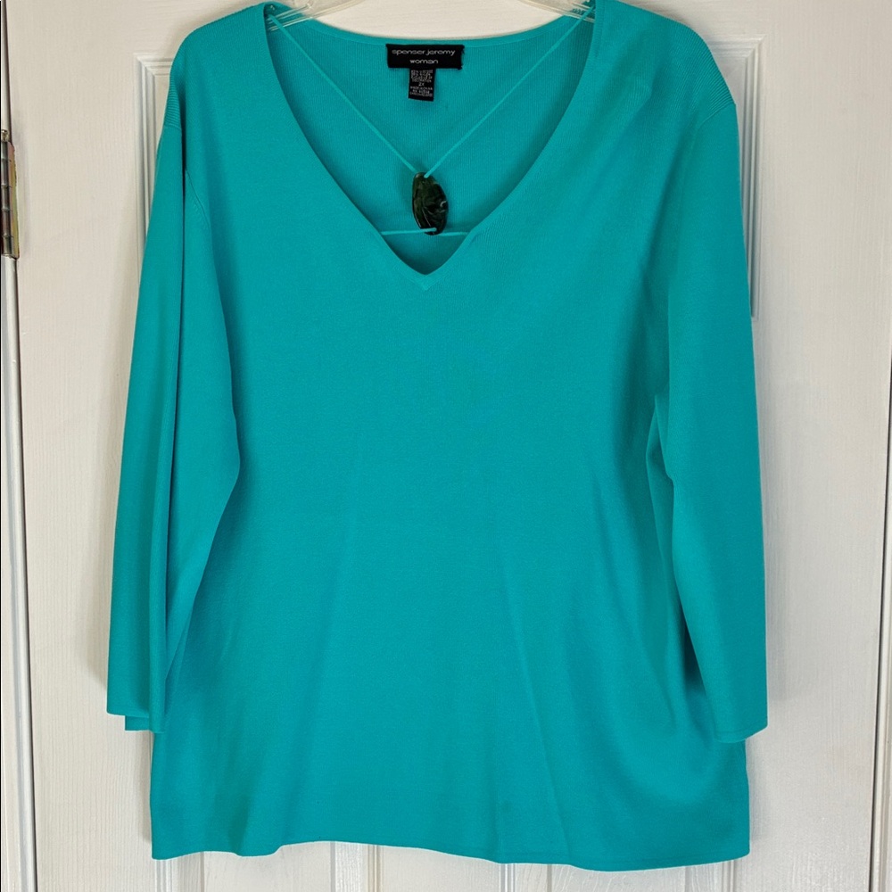 Spencer Jeremy Teal Long Sleeve V-Neck Top 2X